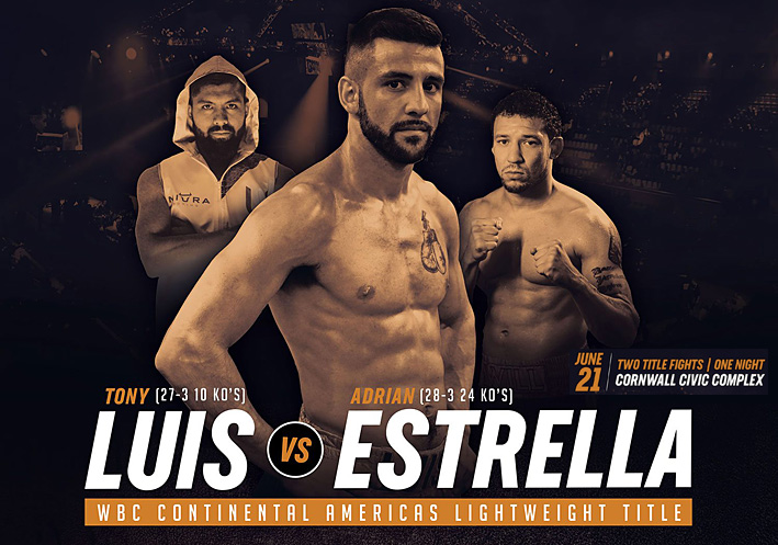 Tony Luis Fight 2019