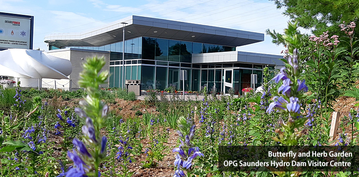 OPG Saunders Hydro Dam Herb and Butterfly Garden