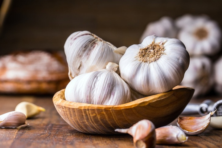 Eastern Ontario Garlic Festival