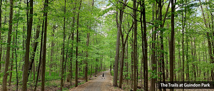 The Trails at Guindon Park