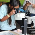 A participant peers through a microscope during the River Institute's pollinator workshop at OPG's Saunders Hydro Dam Visitor Centre.