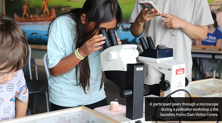 A participant peers through a microscope during the River Institute's pollinator workshop at OPG's Saunders Hydro Dam Visitor Centre.