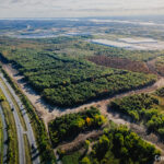 Cornwall Business Park