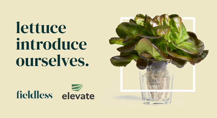 Fieldless Farms Elevate Farms