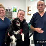 Brookdale Animal Hospital