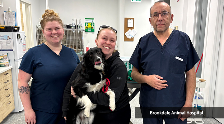 Brookdale Animal Hospital
